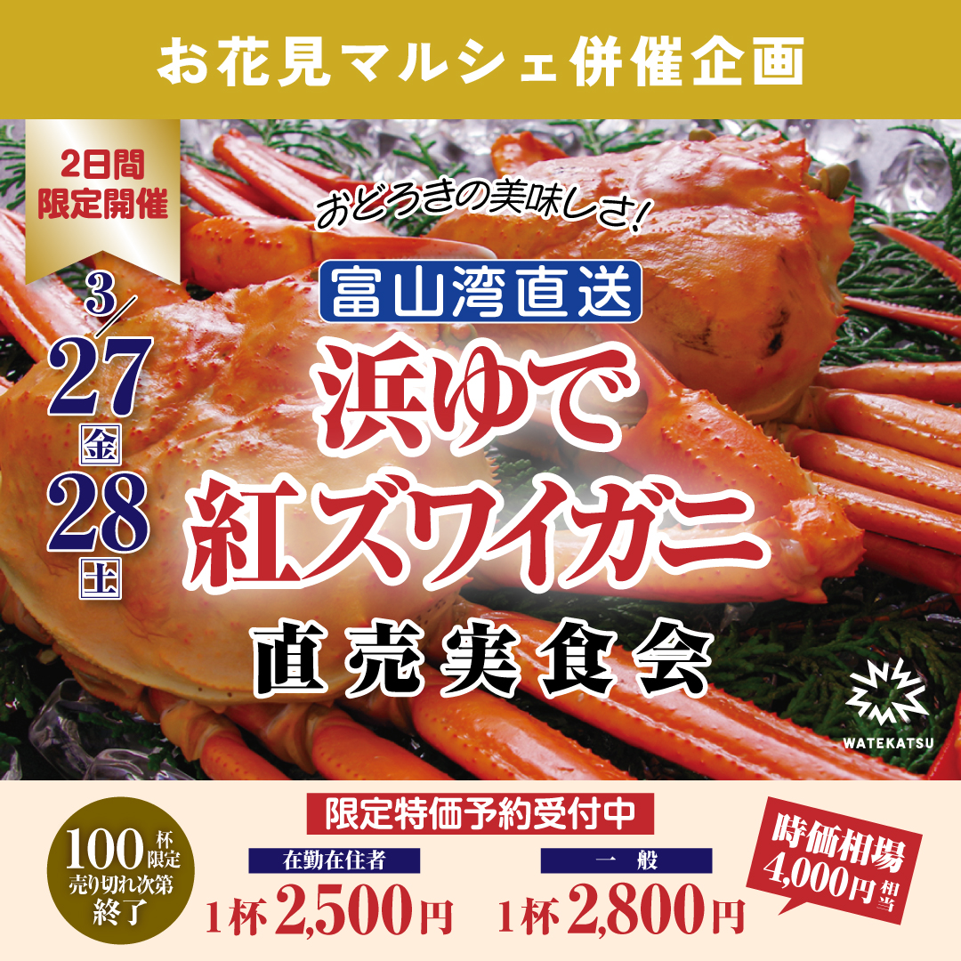 「富山湾直送・浜ゆで紅ズワイガニ実食販売会」開催のお知らせ。